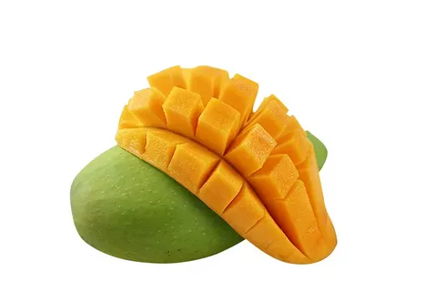 فرآیند تولید کنسانتره انبه: سفری از باغ تا کارخانه