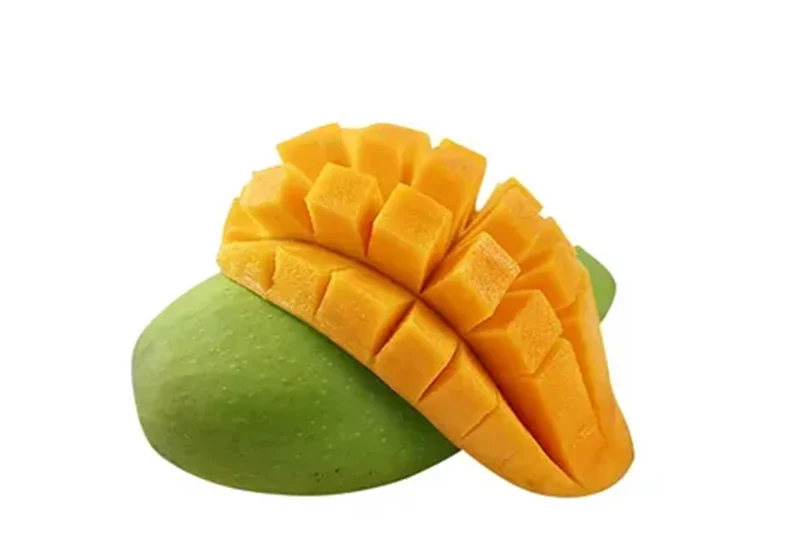 فرآیند تولید کنسانتره انبه: سفری از باغ تا کارخانه