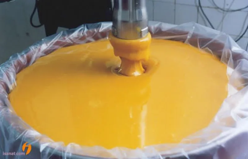 🎯 The Purpose Behind Discovering Fruit Concentrates: A Smart Move in the Food Industry