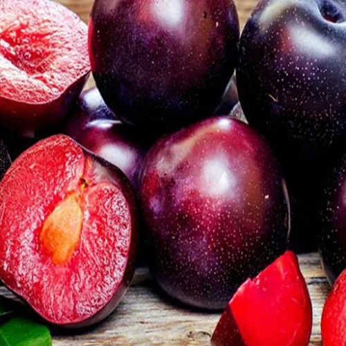 قیمت پوره آلو زرد با کیفیت ارزان + خرید عمده