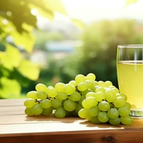 بهترین قیمت کنسانتره انگور سفید